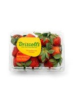 Driscoll's Strawberry