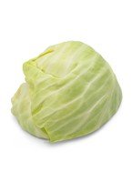 Green Cabbage