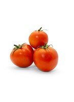 Green House Tomato