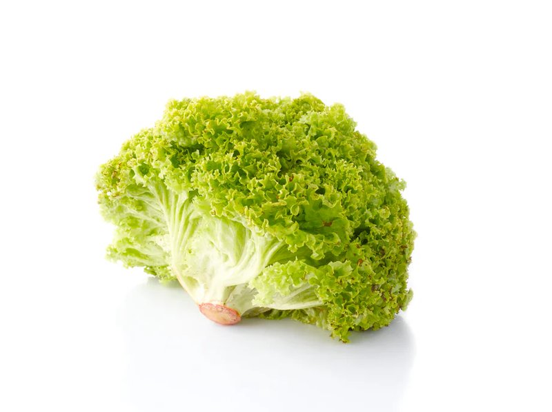 Lollo Bionda Lettuce