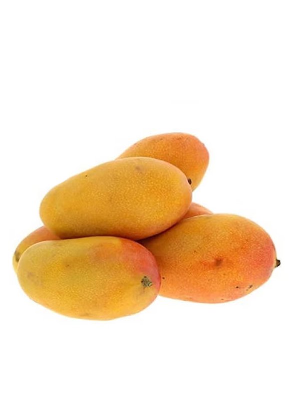Mango Tommy