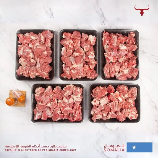 غنم بربري - الصومال