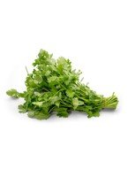 Coriander Leaves