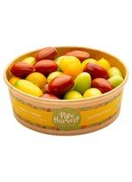 Pure Harvest Mix Candy Tomato Bowl