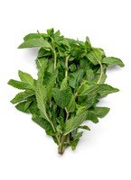 [Z967519FA7A58E94CD5F4Z-1] Mint Leaves