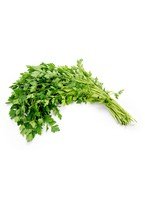 [Z4A279046E35CF5AE4C21Z-1] Parsley