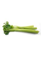 [Z7048B5905AAF328FA707Z-1] Celery