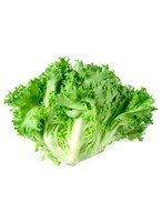 [Z55EA9F79C3FF8A46707BZ-1] Lollo Bionda Lettuce